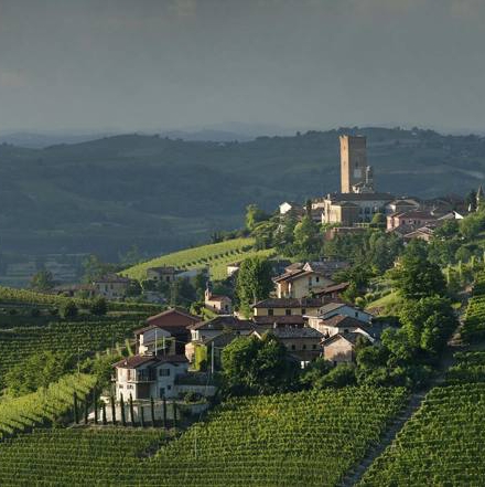 IL MONFERRATO CASALESE È PATRIMONIO DELL’UNESCO