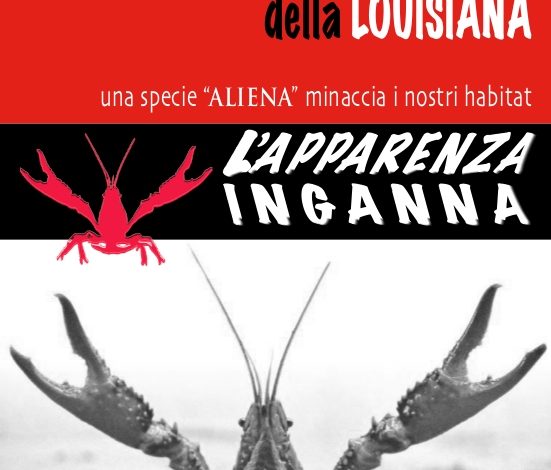 IN PROVINCIA ALL’ORDINE DEL GIORNO C’ERA L’IMPORTANTISSIMO TEMA DEL GAMBERO ROSSO DELLA LOUISIANA