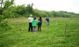 BREVE CORSO GRATUITO DI GIARDINAGGIO A GAMALERO