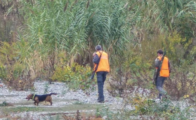 Cacciatori al cinghiale sbagliano mira e colpiscono due volte la finestra di una casa