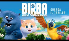 Birba - Micio Combinaguai