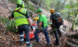 Marito scomparso nel bosco ritrovato vivo dopo giorni di ricerche