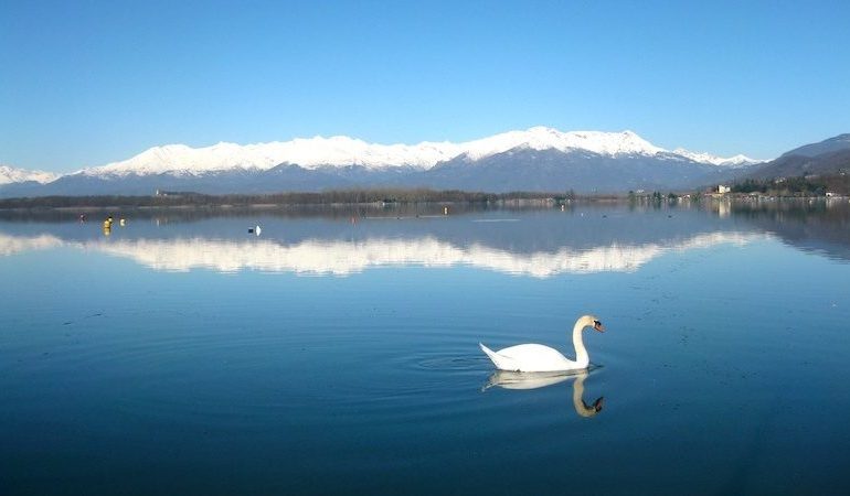 Grazie alla magia d’un lago unico al mondo riparte il Waterfestival Viverone 2020