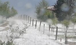 Straordinaria grandinata sul Piemonte, danni all’agricoltura