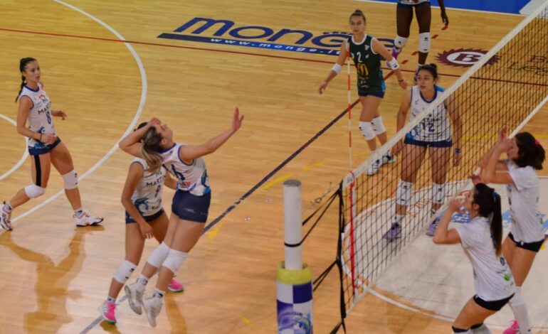 Pallavolo Femminile Serie B – Vittoria scacciacrisi per le alessandrine