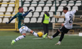 Calcio Serie C - La Pro Vercelli batte con merito il Feralpisalò ed esce dalla zona playout